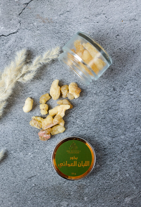 LOUBAN OUMANI MESQI – Image 2